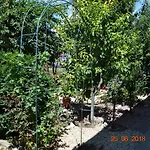 De închiriat Doriana Maison d'hôtes 3*