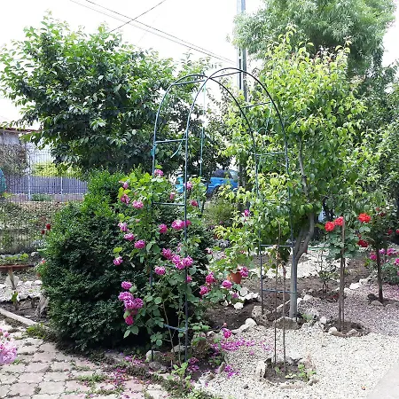 De Inchiriat Doriana