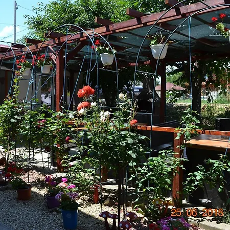 De Inchiriat Doriana Pensjonat 3*
