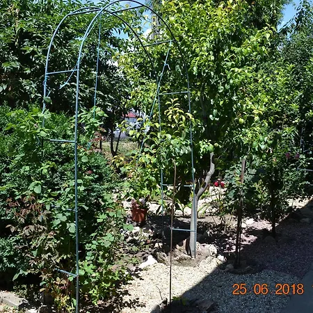 De Inchiriat Doriana Pensjonat 3*