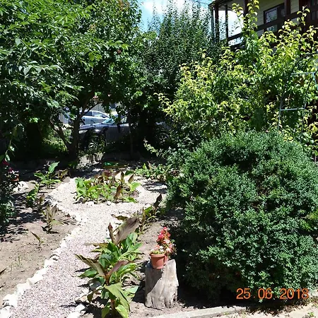 De Inchiriat Doriana Casa de hóspedes Vama Veche